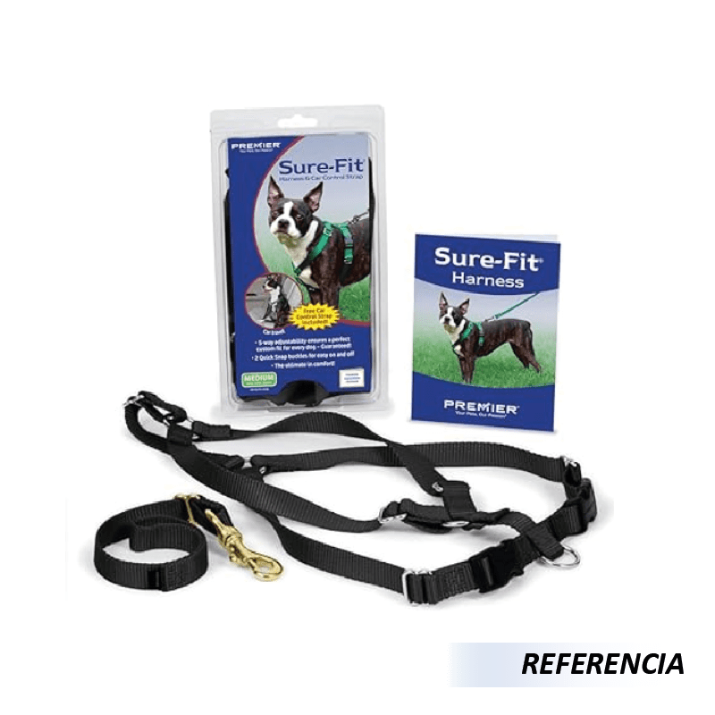 Collar y Correa para Perros - Imagen 4