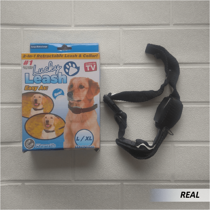 Collar y Correa para Perros