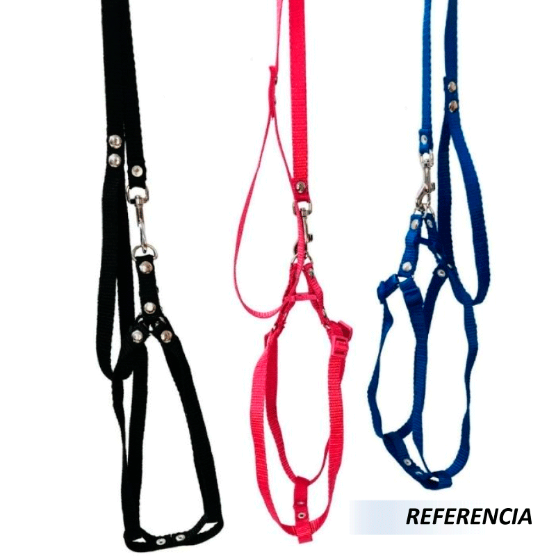 Correa y pechera - Imagen 4